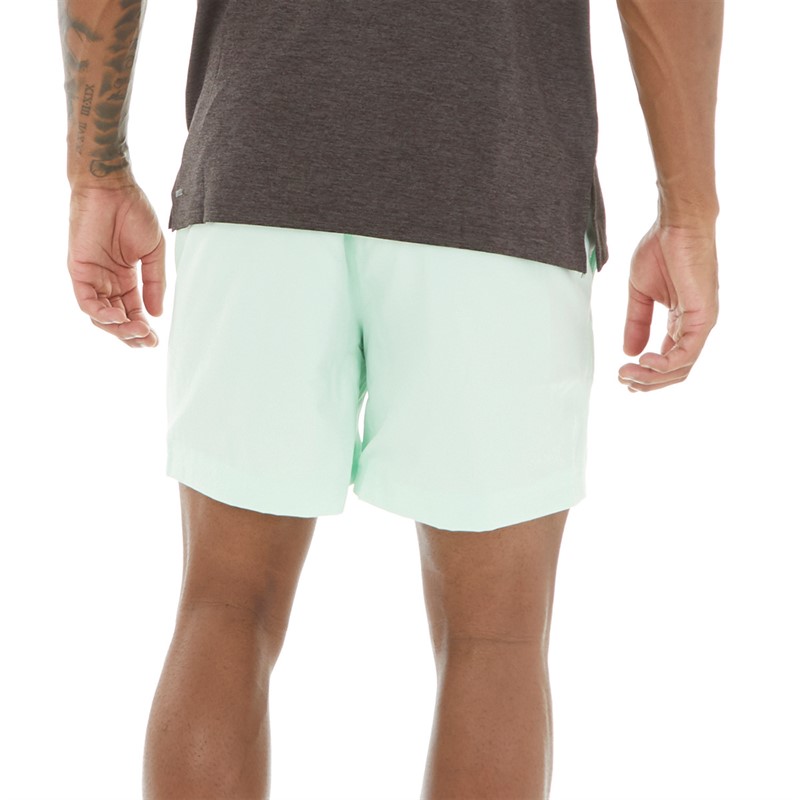 Puma Heren Essentials 5 Shorts Mint