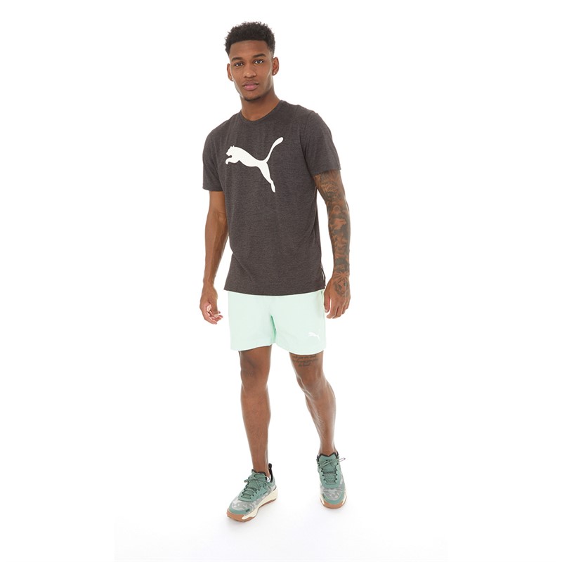 Puma Heren Essentials 5 Shorts Mint