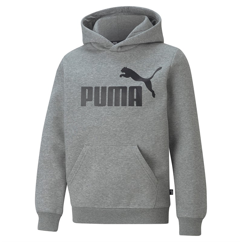 Puma Chłopięce Essentials Big Logo Bluzy z kapturami Odcienie szarości