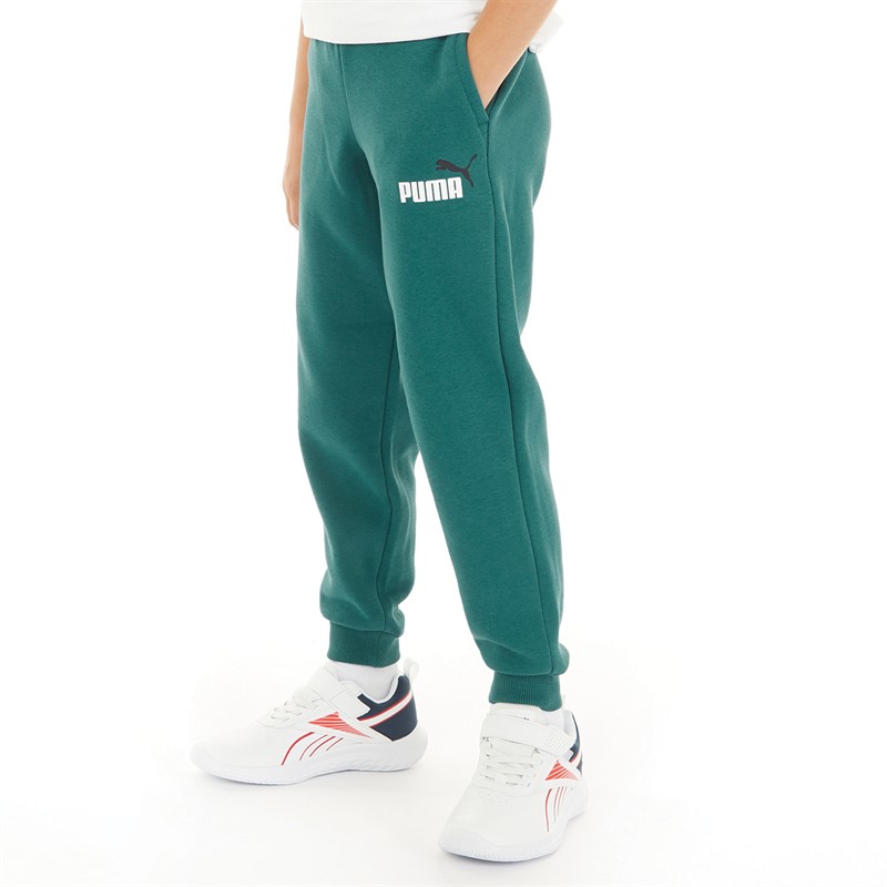 Buy Puma Boys Essentials 2 Color Logo Joggers Green