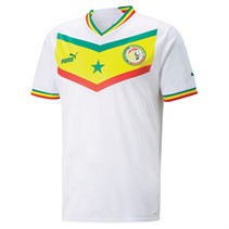 Puma Mens FSF Senegal Home Jersey White/Green