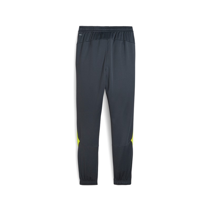 Puma Mens King Pro Track Pants Grey