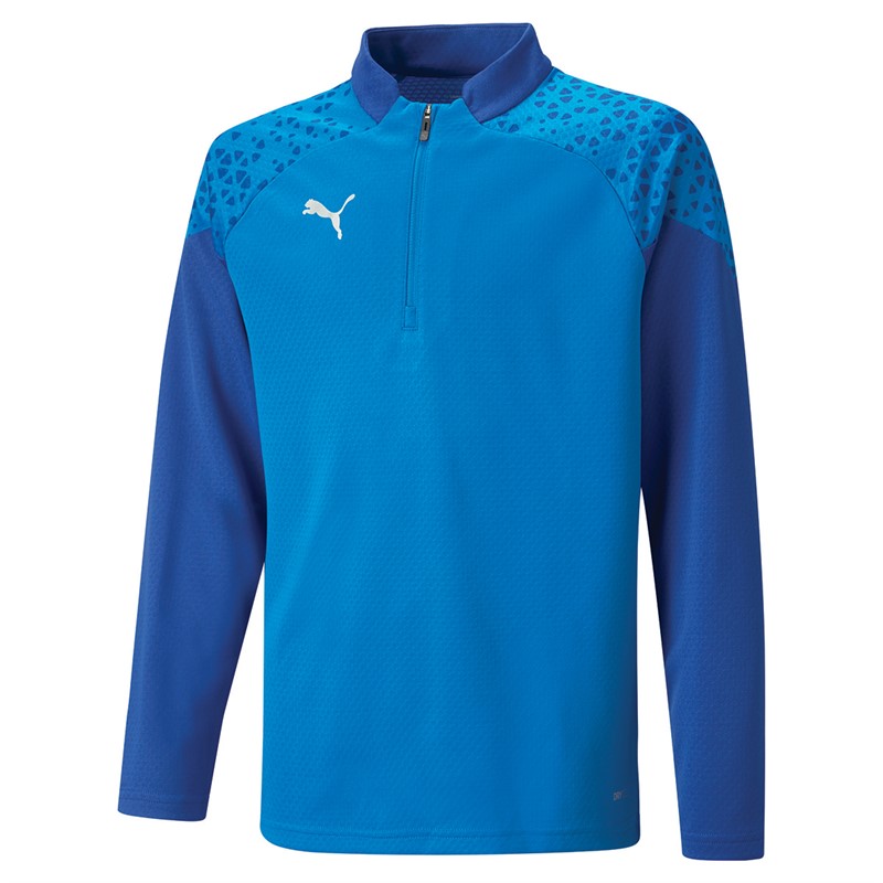 Puma Junior Teamcup 1/4 Zip Training Top Royal