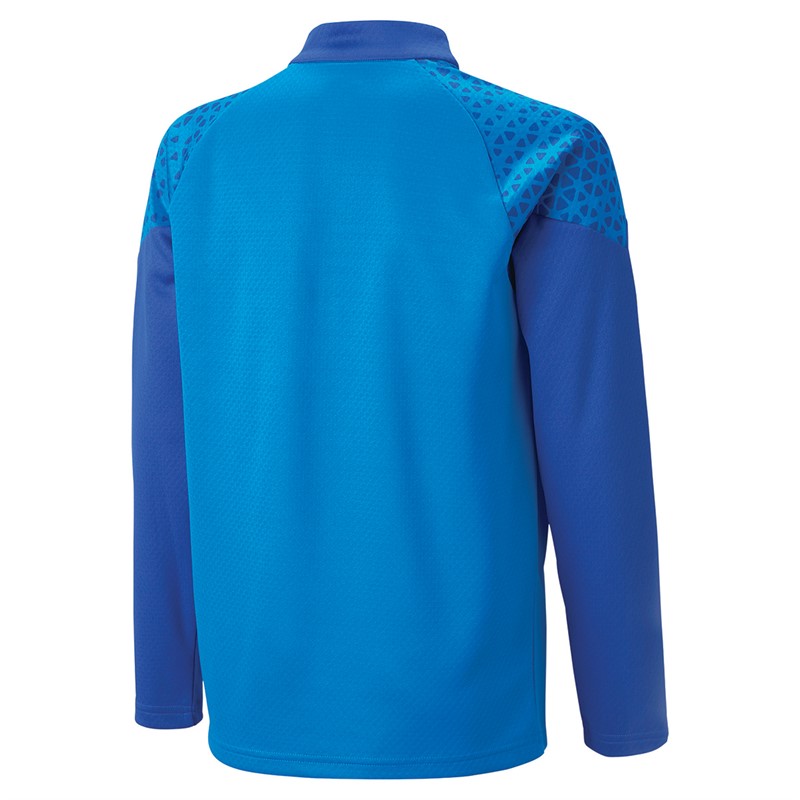 Puma Junior Teamcup 1/4 Zip Training Top Royal