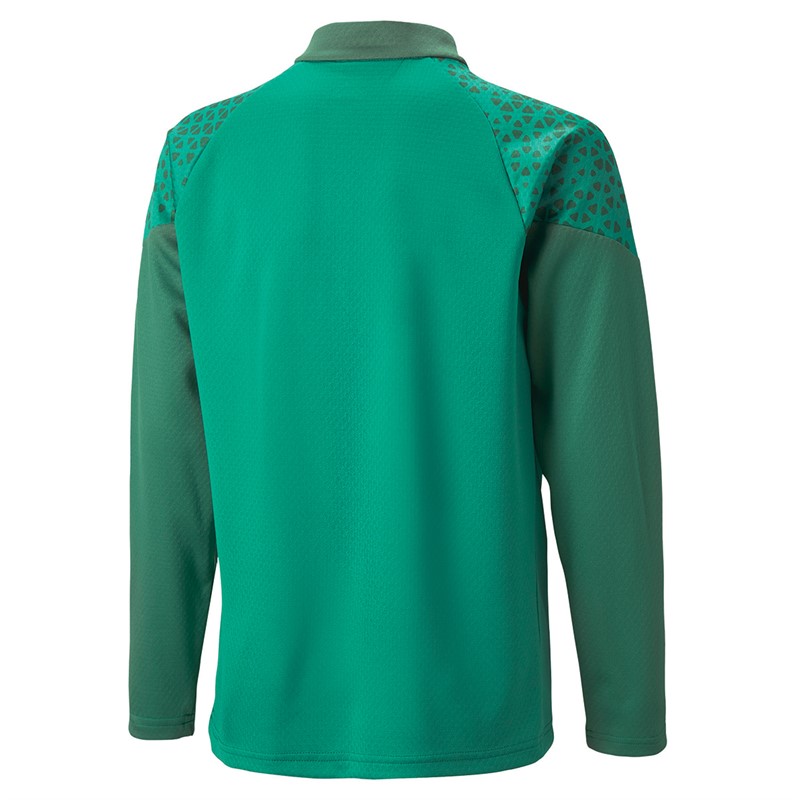 Puma Junior Teamcup 1/4 Zip Training Top Green