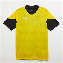 Puma Mens Teamcup Training Jersey Yellow