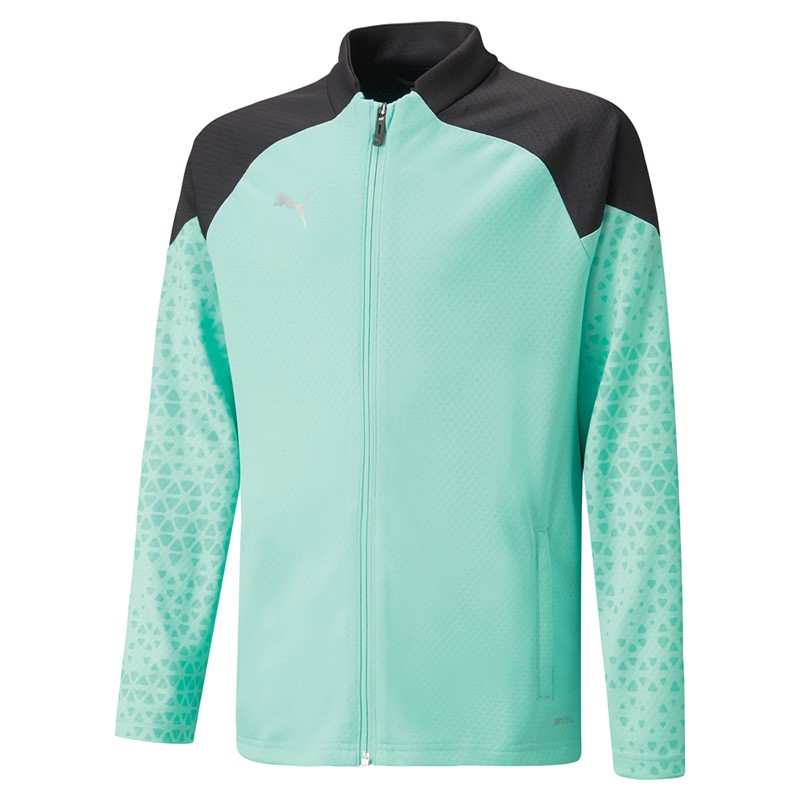 Puma Junior Teamcup Training Poly Track Jacket Green