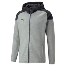 Puma Mens Teamcup Casuals Full Zip Hoodie Grey