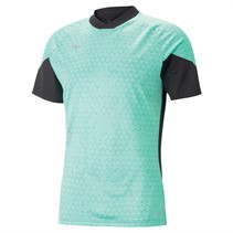 Puma Mens Teamcup Training Jersey Green