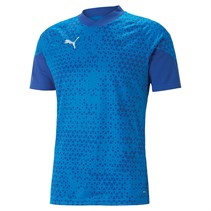 Puma Mens Teamcup Training Jersey Royal