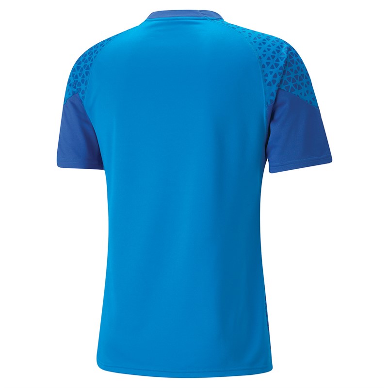 Puma Mens Teamcup Training Jersey Royal