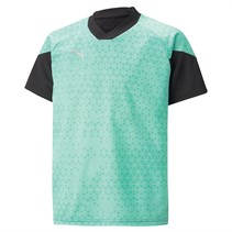 Puma Junior Teamcup Training Jersey Green