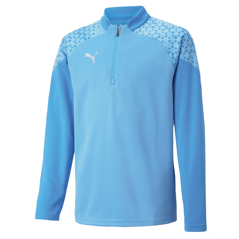 Puma Junior Teamcup 1/4 Zip Training Top Sky