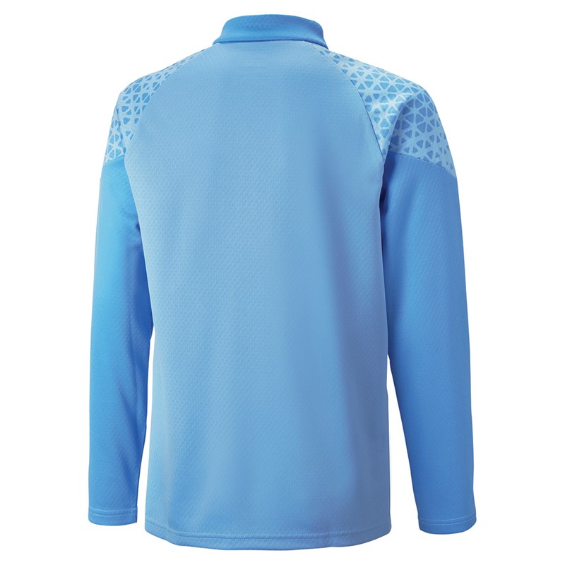 Puma Junior Teamcup 1/4 Zip Training Top Sky