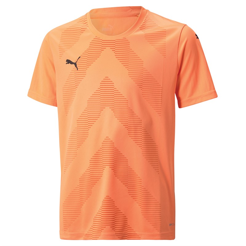 Puma Junior Teamglory Training Jersey Orange