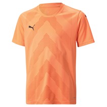 Puma Junior Teamglory Training Jersey Orange