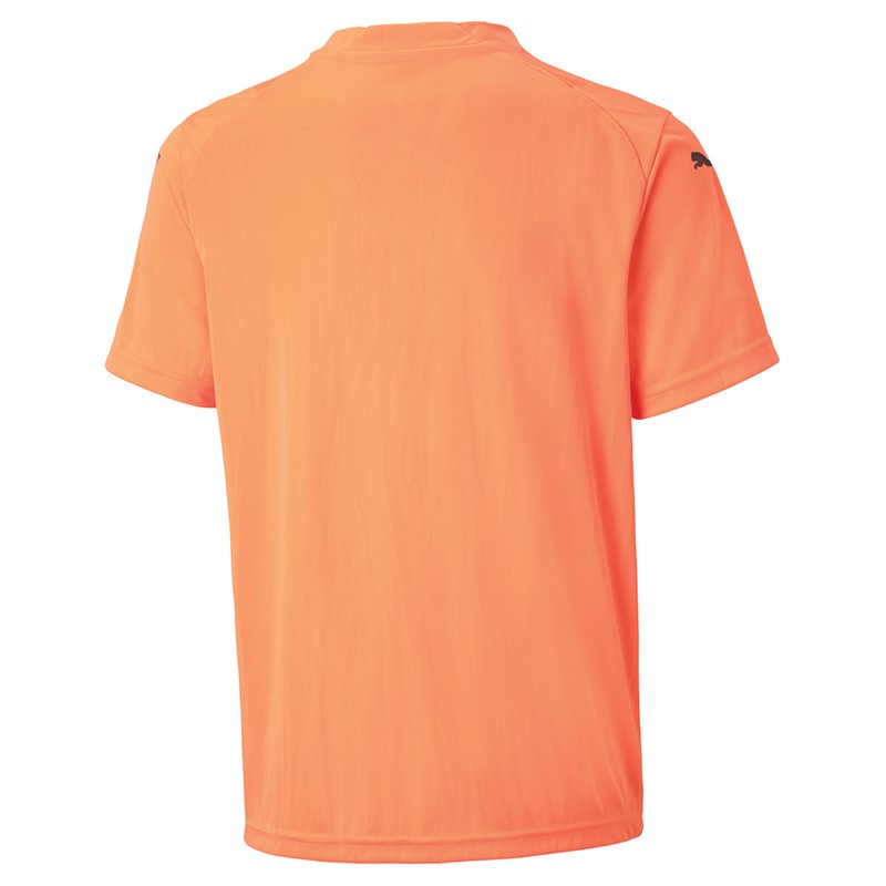 Puma Junior Teamglory Training Jersey Orange