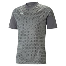 Puma Mens Teamcup Training Jersey Grey