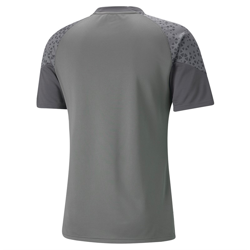 Puma Mens Teamcup Training Jersey Grey