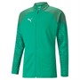 Puma Mens Teamcup Training Poly Track Jacket Green