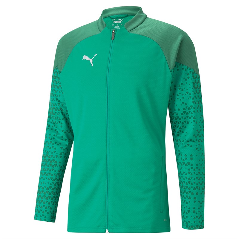 Puma Mens Teamcup Training Poly Track Jacket Green