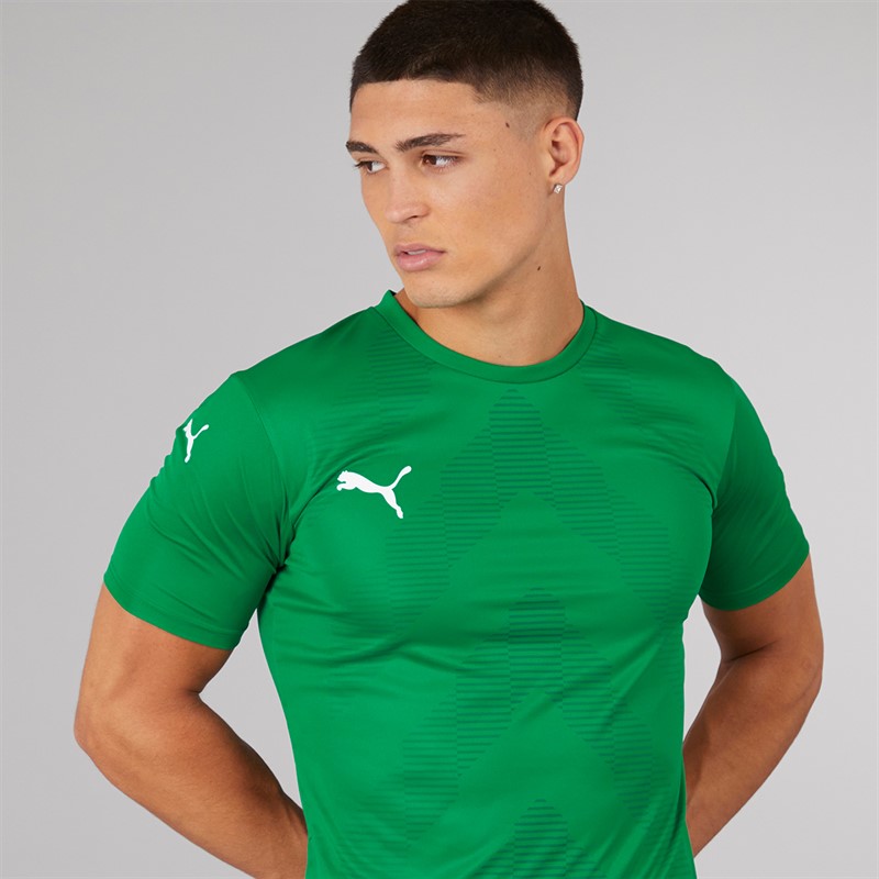 Puma Mens Teamglory Training Jersey Green