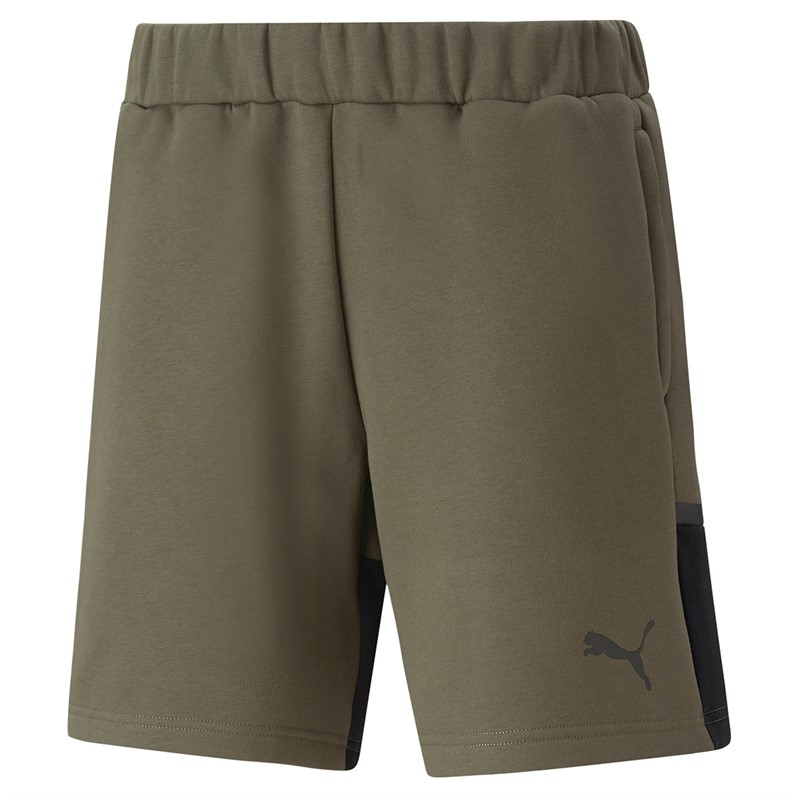 Puma Mens Teamcup Casuals Shorts Green