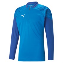 Puma Mens Teamcup 1/4 Zip Training Top Royal