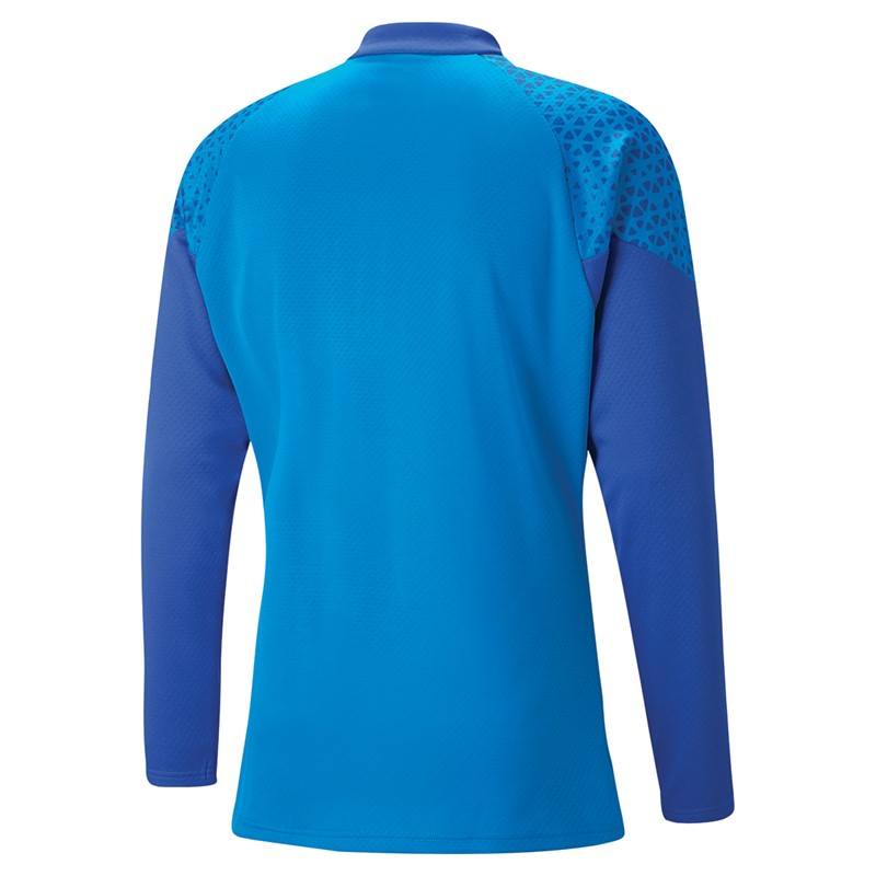 Puma Mens Teamcup 1/4 Zip Training Top Royal