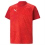 Puma Junior Teamcup Training Jersey Red