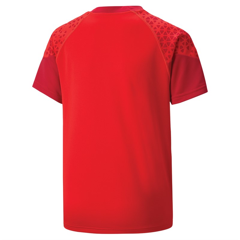 Puma Junior Teamcup Training Jersey Red