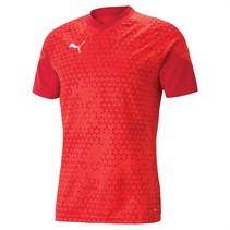 Puma Mens Teamcup Training Jersey Red