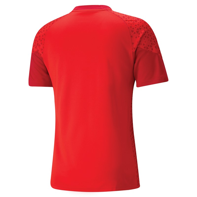 Puma Mens Teamcup Training Jersey Red