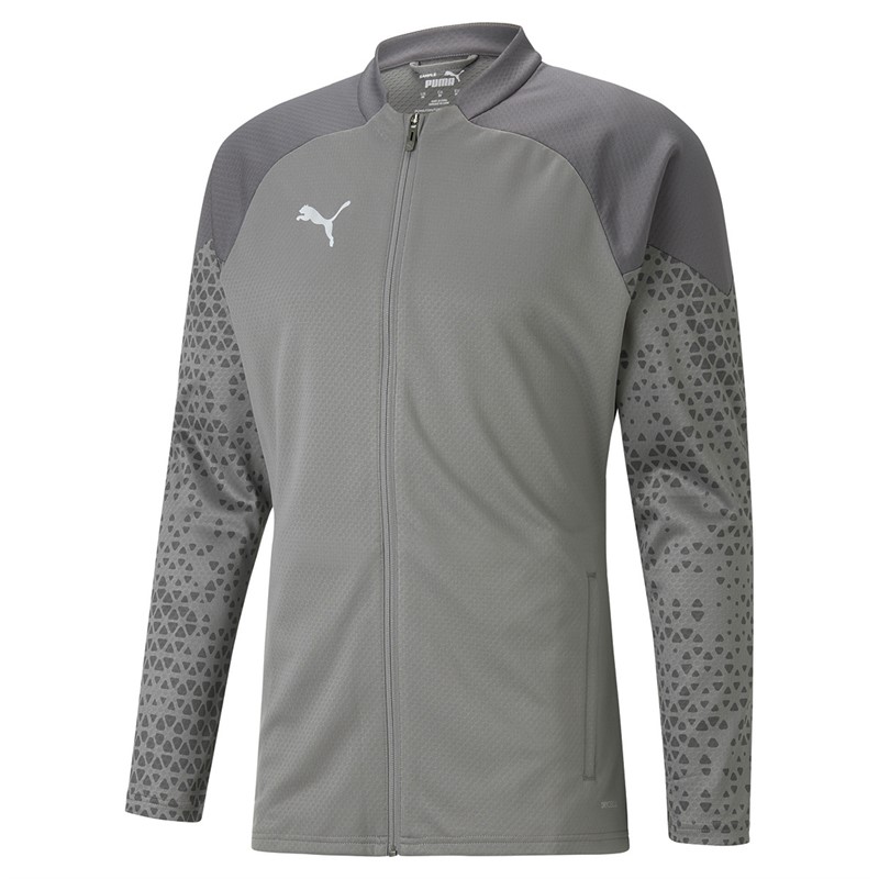 Puma Mens Teamcup Training Poly Track Jacket Grey