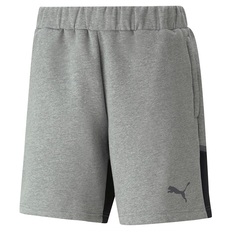 Puma Mens Teamcup Casuals Shorts Grey