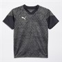 Puma Junior Teamcup Training Jersey Grey
