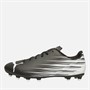 Puma Heren Attacanto II FG / AG Stevige / Kunstmatige Ondergrond Voetbalschoenen Puma Zwart / Puma Wit