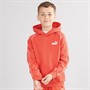 Puma Junior Boys Puma Sport Poly Hoodie Red Fire