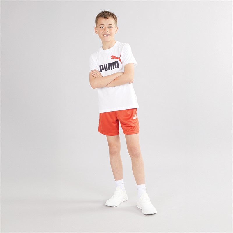 Puma Junior Boys Essentials 2 Color No.1 Logo T-Shirt Puma White