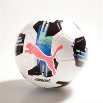 Puma Unisex Orbita 6 MS Training Football Puma White
