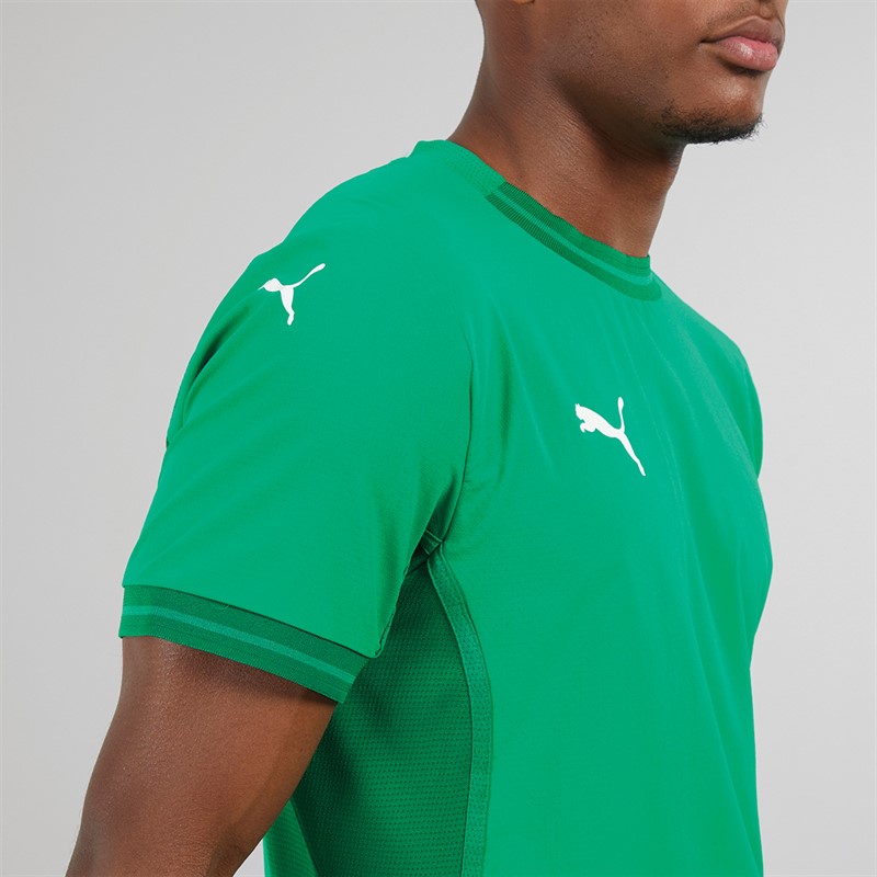 Puma Mens Teamfinal Training Jersey Green