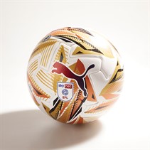 Puma Orbita 1 EFL Sky Bet Match Football (FIFA Quality Pro Certified) Puma White