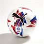 Puma Orbita 6 EFL Sky Bet Machine Stitched Training Football Puma White