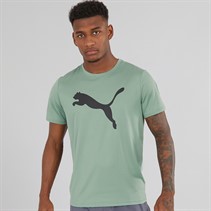Puma Mens Train All Day Essentials T-Shirt Green Moon