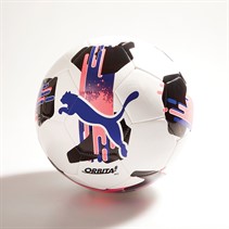 Puma Orbita 6 MS Training Football Puma White