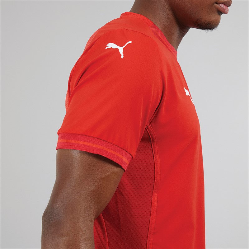Puma Mens Teamfinal Training Jersey Puma Red