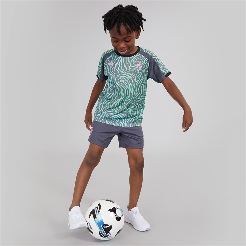 Puma Junior Boys Neymar JR Creativity Jersey Galactic Gray