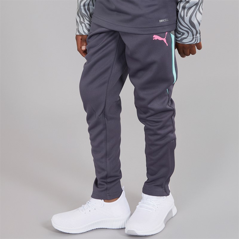 Puma Junior Boys Neymar JR Creativity Training Pants Galactic Gray