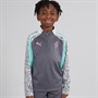 Puma Junior Boys Neymar JR Creativity 1/4 Zip Top Galactic Gray