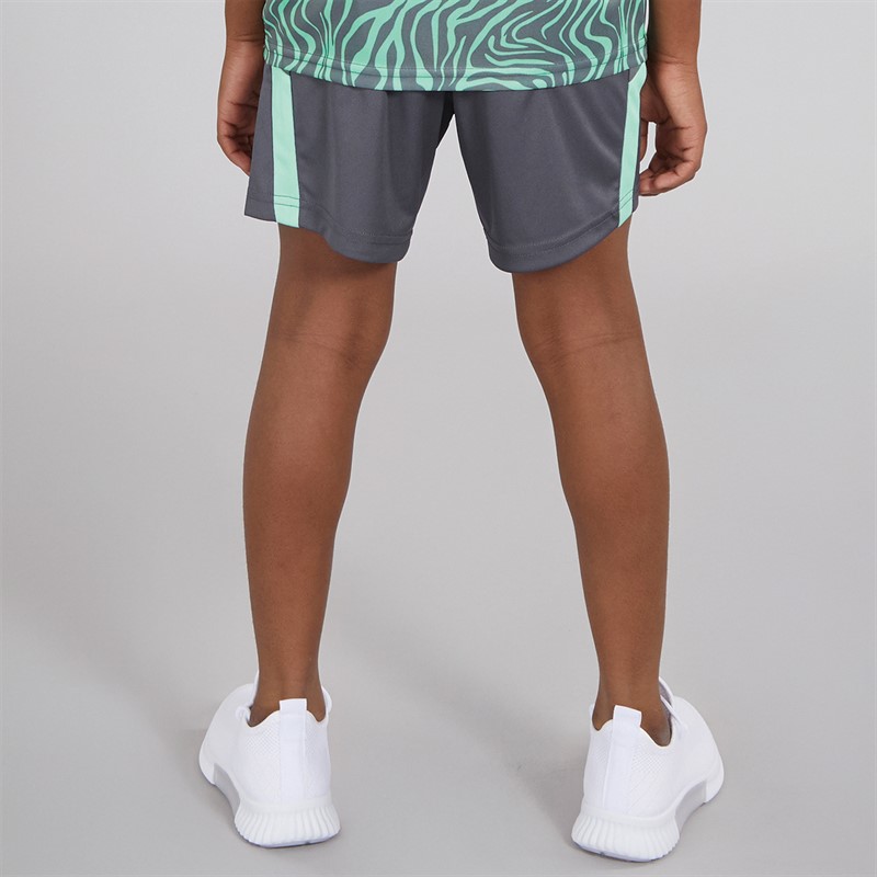 Puma Junior Boys Neymar JR Creativity Training Shorts Galactic Gray
